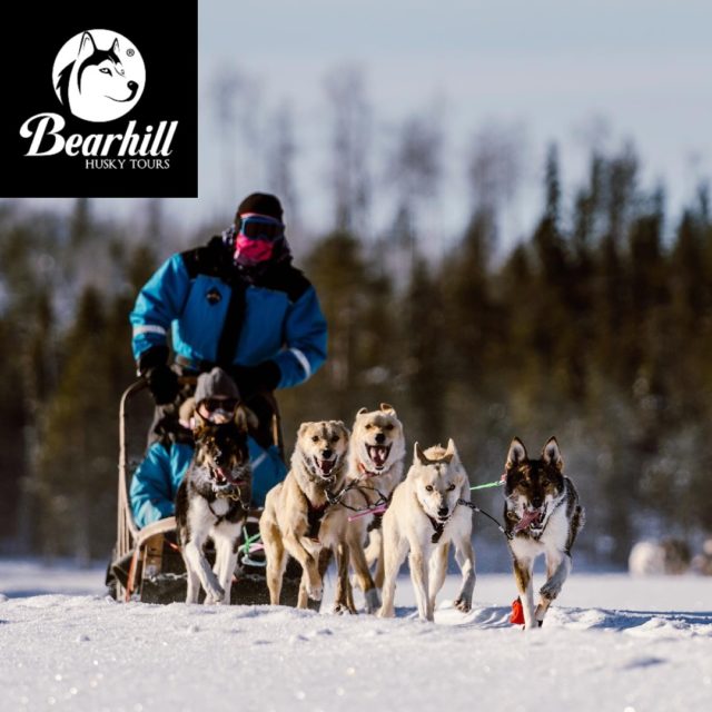 Bearhill Tours/Husky rides, ice fishing, and snowshoe tours, Rovaniemi